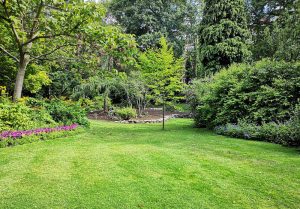 Optimiser l'expérience du jardin à Bernac-Dessus